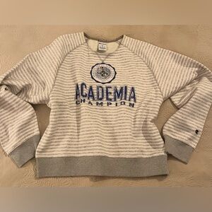 Champion Striped Sweatshirt in Blue and Gray